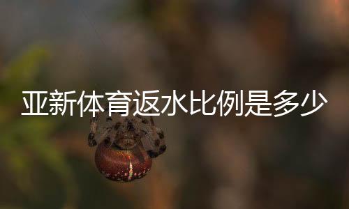亚新体育返水比例是多少?2026最新返水率、计算方法与领取攻略