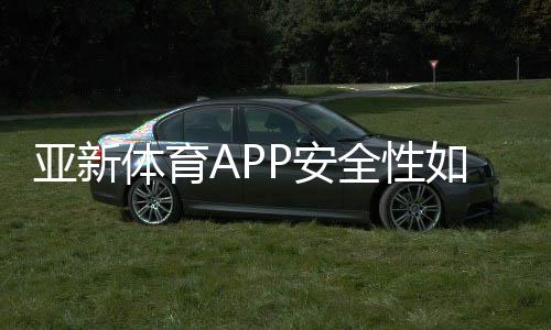 亚新体育APP安全性如何？隐私保护、资质与支付安全全面解析