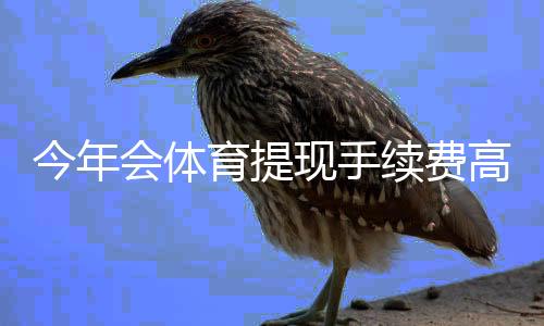 今年会体育提现手续费高吗？最新费率解析与省钱攻略
