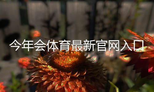 今年会体育最新官网入口：官方直达链接、登录步骤与访问安全指南