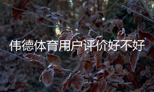 伟德体育用户评价好不好?真实口碑、优缺点与新手注意事项详解