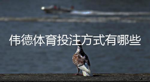 伟德体育投注方式有哪些？新手必学的单注、串关、滚球与亚洲盘全解析