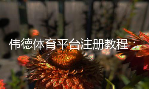 伟德体育平台注册教程：新手注册流程、身份验证与安全注意事项