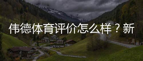 伟德体育评价怎么样？新手必看：平台信誉、安全性、赔率与提款体验详解