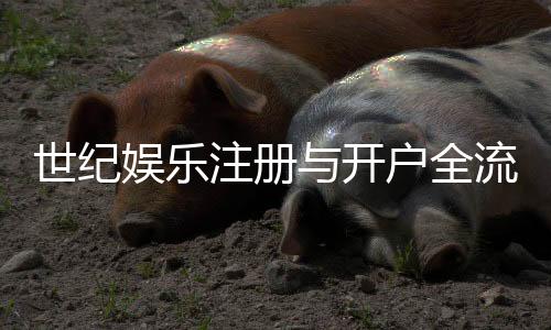 世纪娱乐注册与开户全流程：新手必看的详细图文指南