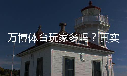 万博体育玩家多吗？真实用户数量、活跃度与口碑安全全面解析