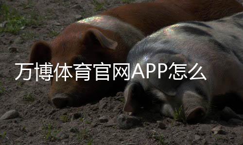 万博体育官网APP怎么玩？新手下载安装、注册充值与安全防骗完整指南