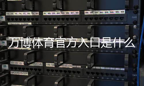 万博体育官方入口是什么?官网登录注册教程与安全验证全攻略