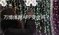 万博体育APP安全吗？安全性如何评估隐私与支付风险全解析