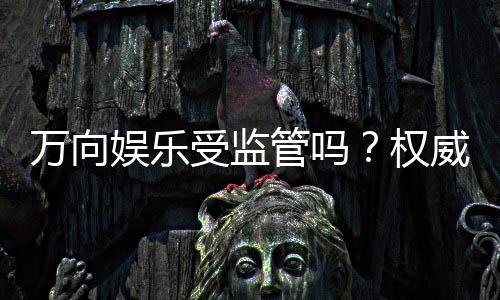 万向娱乐受监管吗？权威解析平台合规性与玩家保障措施
