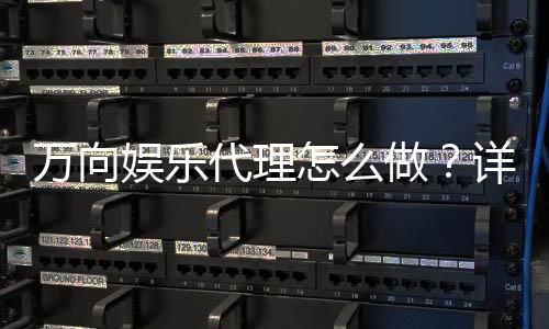 万向娱乐代理怎么做？详细申请流程与盈利技巧分享