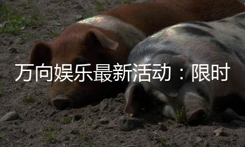 万向娱乐最新活动:限时豪礼大放送新老玩家同享