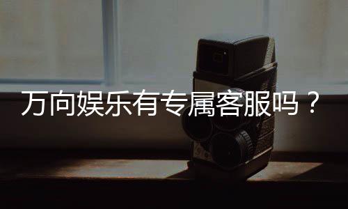 万向娱乐有专属客服吗?揭秘平台VIP服务与客服体验