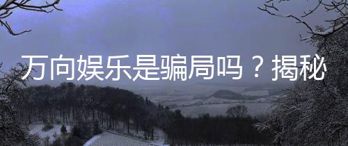 万向娱乐是骗局吗？揭秘其真实性与玩家体验