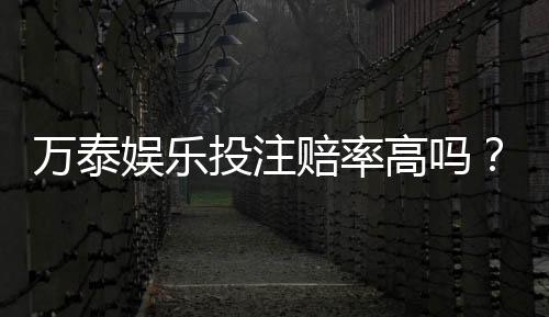 万泰娱乐投注赔率高吗？资深玩家揭秘真实回报率与技巧