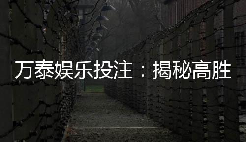 万泰娱乐投注：揭秘高胜率玩家的独家投注技巧