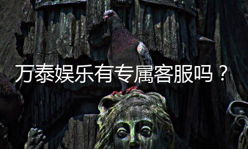 万泰娱乐有专属客服吗？为您解答VIP服务与一对一支持详情