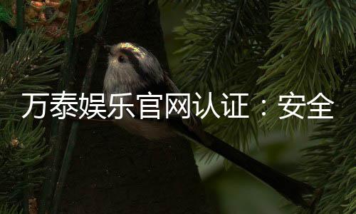 万泰娱乐官网认证：安全可靠的娱乐平台首选