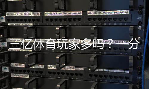 三亿体育玩家多吗？一分钟看懂平台用户规模与可信度