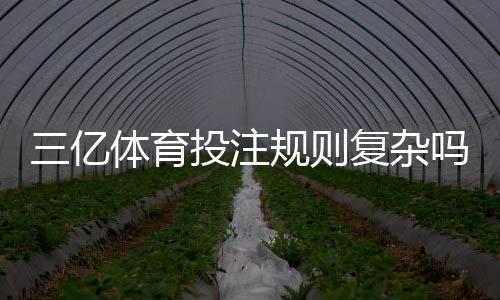 三亿体育投注规则复杂吗？新手必看玩法规则解析与快速上手攻略