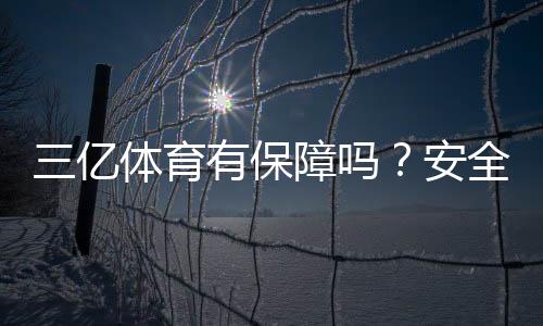 三亿体育有保障吗？安全性、资金与信誉全面评测