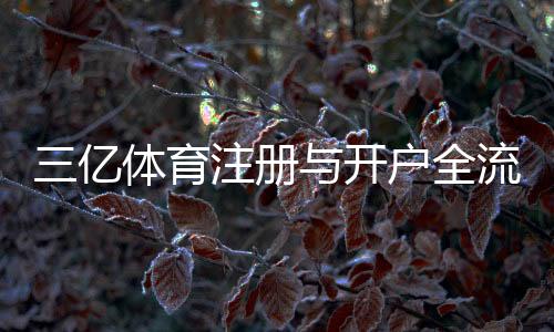 三亿体育注册与开户全流程：新手必看步骤与常见问题一览