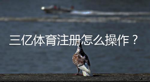 三亿体育注册怎么操作?新手开户流程与注意事项一看就懂
