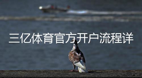 三亿体育官方开户流程详解：新手注册步骤与注意事项全攻略