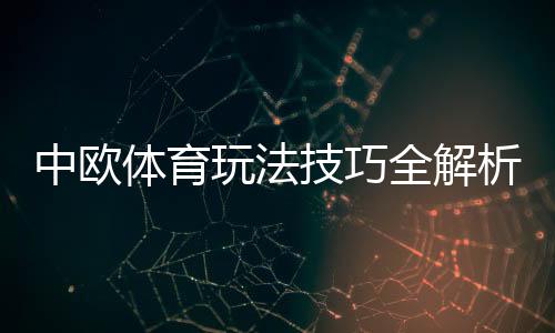 中欧体育玩法技巧全解析:新手入门、投注技巧与实战策略