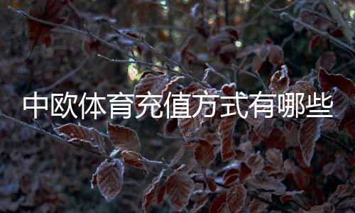 中欧体育充值方式有哪些?支持渠道、充值步骤与安全注意事项全解析