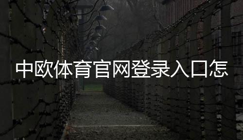 中欧体育官网登录入口怎么进？最新登录方法与新手注册、安全问题全解析