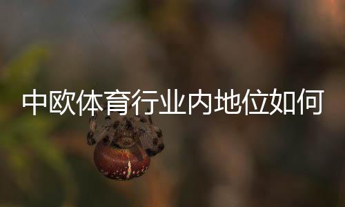 中欧体育行业内地位如何?深度解析市场份额、竞争优势与发展前景