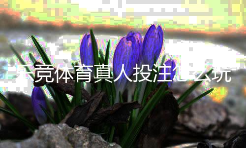 乐竞体育真人投注怎么玩?新手入门、玩法规则与安全注意事项