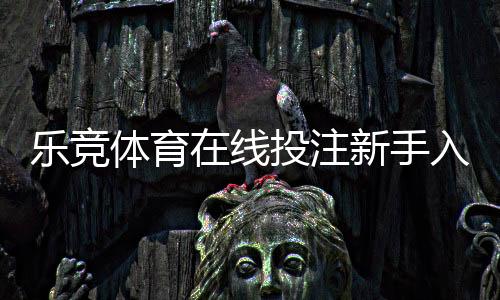 乐竞体育在线投注新手入门:玩法规则、充值提款与安全注意事项大全