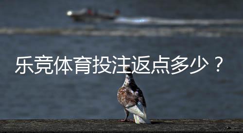 乐竞体育投注返点多少？最新返点比例、计算方法与省钱攻略