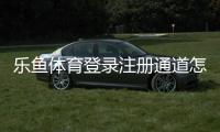 乐鱼体育登录注册通道怎么进？新手图文注册登录步骤与常见问题解决指南