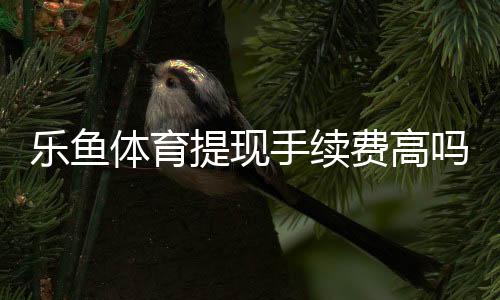 乐鱼体育提现手续费高吗?一文看懂收费标准、原因与省钱技巧