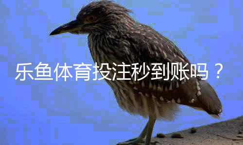 乐鱼体育投注秒到账吗？提现到账速度与常见问题解析