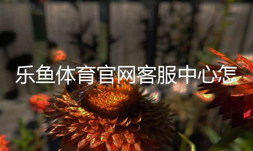 乐鱼体育官网客服中心怎么联系?在线客服、电话与常见问题快速解决指南