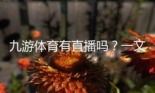 九游体育有直播吗?一文看懂直播入口、观看方式与常见问题