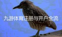 九游体育注册与开户全流程:新手图文教程+常见问题与注意事项