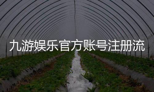 九游娱乐官方账号注册流程详解：新手快速开户、实名认证与常见问题