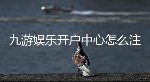 九游娱乐开户中心怎么注册?新手图文教程、账号安全与常见问题快速解决