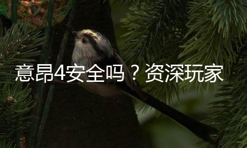 意昂4安全吗？资深玩家解析平台可靠性与游戏体验
