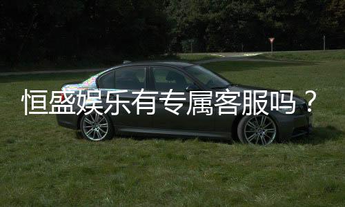 恒盛娱乐有专属客服吗?为您揭秘VIP一对一服务体验