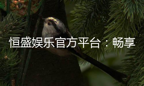 恒盛娱乐官方平台:畅享顶级棋牌与电子游艺的奢华体验
