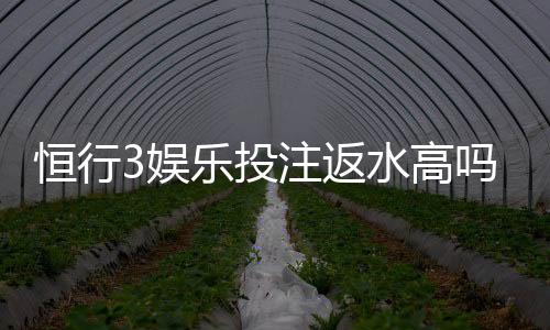 恒行3娱乐投注返水高吗？揭秘高返水活动与实战技巧