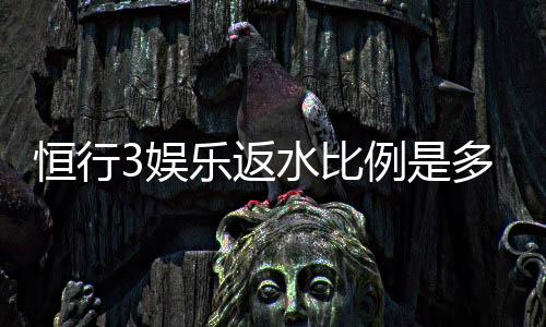 恒行3娱乐返水比例是多少？揭秘高返水福利与实战技巧