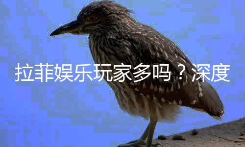 拉菲娱乐玩家多吗？深度解析平台人气与玩家真实体验