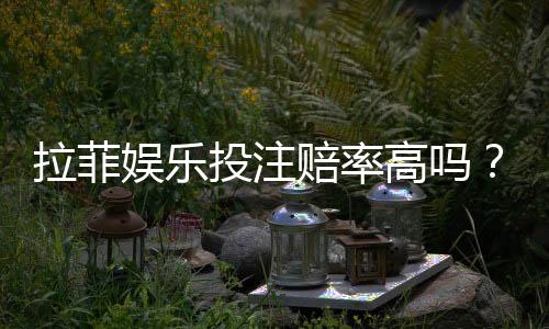 拉菲娱乐投注赔率高吗?资深玩家解析真实回报率与技巧